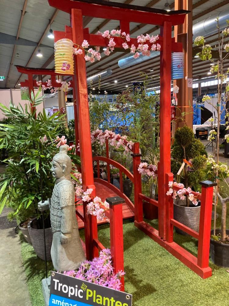 LE JARDIN JAPONAIS !